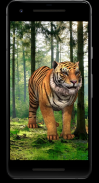 Tiger 3D Video Live Wallpaper screenshot 0