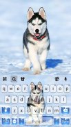 Ice Husky Keyboard Background screenshot 2