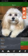 Bauwow The Pet Social Network screenshot 4