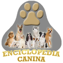 Enciclopedia Canina Icon