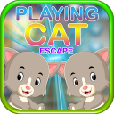 Kavi Escape Game - Playing Cat Escape