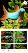 AquariumFish.net screenshot 7