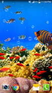 Free Aquarium Undersea LWP PRO screenshot 5