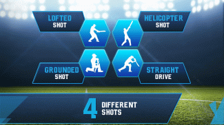 Cricket T20 Multiplayer screenshot 10