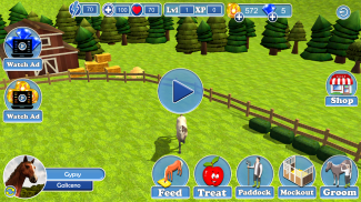 Real Horse Racing World Rider screenshot 9