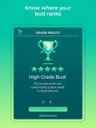 HiGrade - Test mobile de cannabis screenshot 1