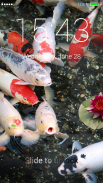 Koi Fish Lock Screen for Huawei screenshot 0