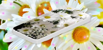 3D Daisy Spring Live Wallpaper