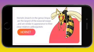 Murder Hornet Pro Guide and free tips 2020 screenshot 0