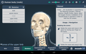 Menselijk lichaam 3D screenshot 16