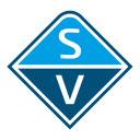 SV Capture Icon