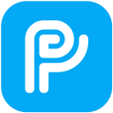 PhonePay Icon