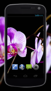 4K Flowers Video Live Wallpapers screenshot 2
