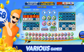Luck'e Bingo : Video Bingo screenshot 5