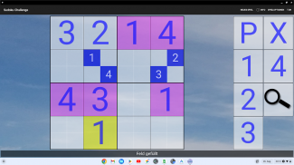16x16 Sudoku Challenge HD screenshot 9