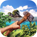 Island Is Home Survival 3D Icon