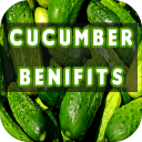 Cucumber Benefits