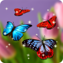 Butterfly Wallpaper