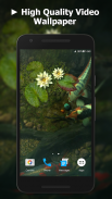 Koi Pond Video Live Wallpaper screenshot 3