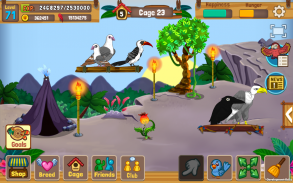Bird Land: Zooladen Spiel, spiele mit einem Vogel screenshot 2