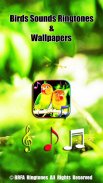 Birds Sound Ringtones screenshot 4