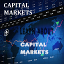 Capital Markets Icon