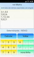 Determinante da matriz screenshot 2