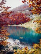 Landscape Puzzle Jigsaw screenshot 8