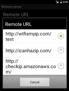 External IP screenshot 2