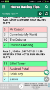 Horse Racing Tips - Computer Data Calculations screenshot 0