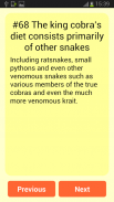 Amazing Snake Facts screenshot 3