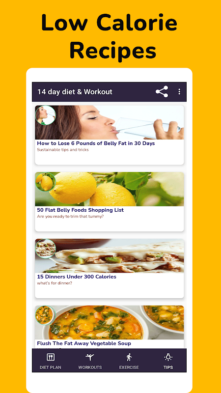 14Day Diet Plan-lose belly fat - APK Download for Android