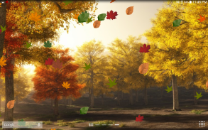 Colorful Autumn Live Wallpaper screenshot 1