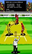 Hit Wicket Cricket 2018 - World Cup League Game screenshot 0