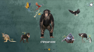 Animal Puzzles screenshot 0