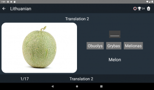 Lithuanian Language Tests screenshot 15