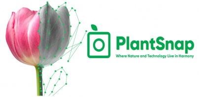 PlantSnap: plant identifier