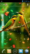 Birds 3D Live Wallpaper screenshot 5