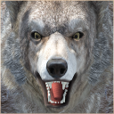 Wild Life: Wolf Clan
