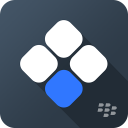BlackBerry Connectivity Icon