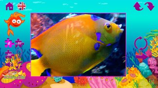 Puzzles fish screenshot 4