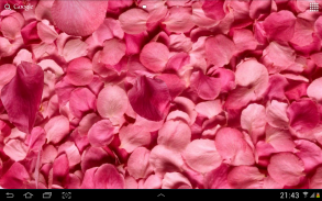 Daun bunga 3D Live Wallpaper screenshot 0