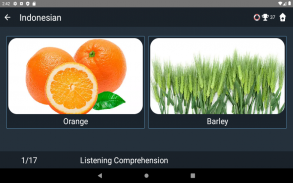 Indonesian Language Tests screenshot 14