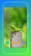 Grasshopper Wallpaper screenshot 13