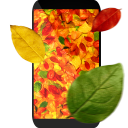 Folhas do outono 3D Papel de parede animado Icon
