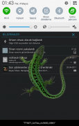 Lizard in phone funny joke screenshot 4