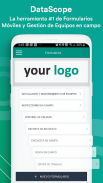 Formularios DataScope screenshot 3