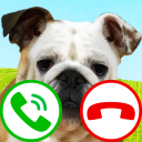 fake call dog game Icon