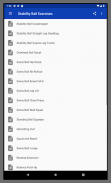 Stability Ball Exercises screenshot 3