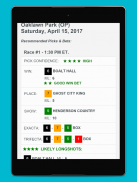 Horse Racing Picks & Bet Tips screenshot 4